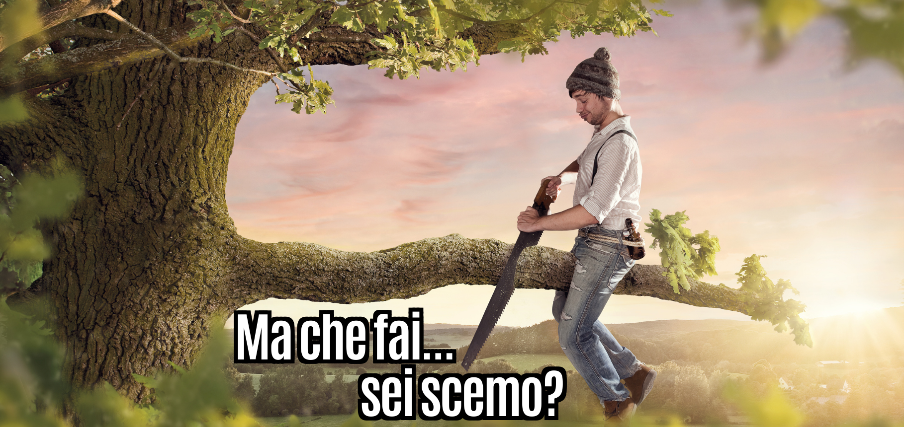 Meglio Bello e Scemo o Utile ed Efficace?
