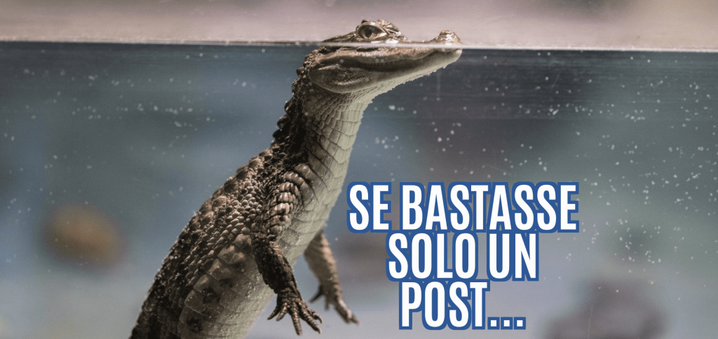 Se bastasse un Post… saremmo tutti ricchi! 1 Blog del Modellista 3