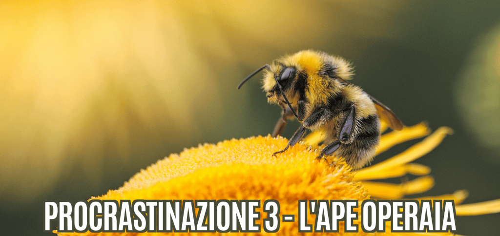 Guida alla procrastinazione III – L’ape operaia 30 Blog del Mastino 3