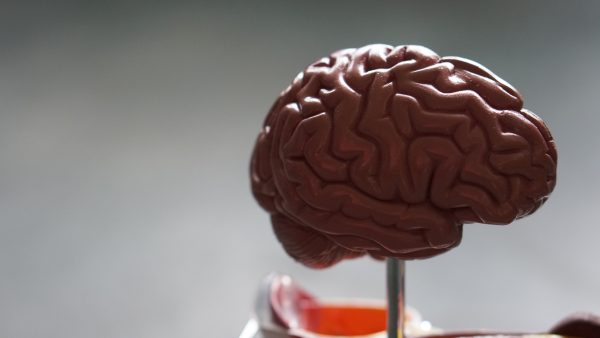 Quando immaginare ti aiuta a fatturare 9 cervello 1