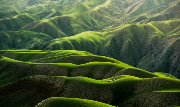 Gestisci i paragoni e aumenta il fatturato! 9 natura