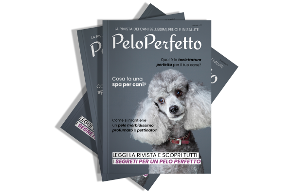 Rivista