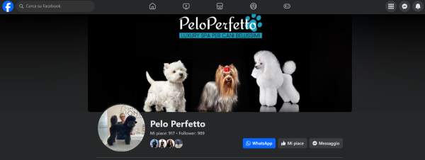 Comunicazione online