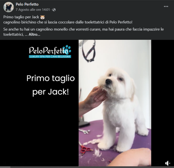 Video pelo perfetto