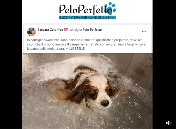 Video recensione Pelo Perfetto