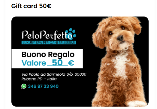 5 funzioni che non possono mancare sul tuo ecommerce - Parte 1 17 screenshot gift card